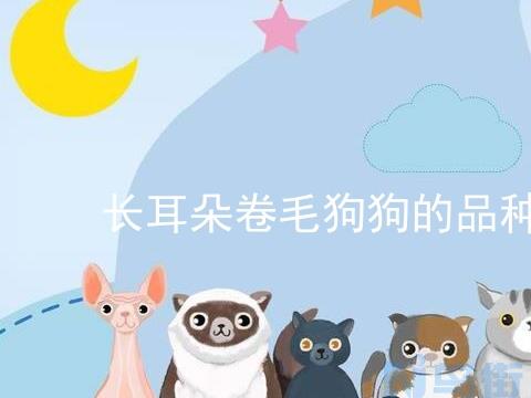 美国爱斯基摩犬性格好不好？美国爱斯基摩犬性格特点有哪些？