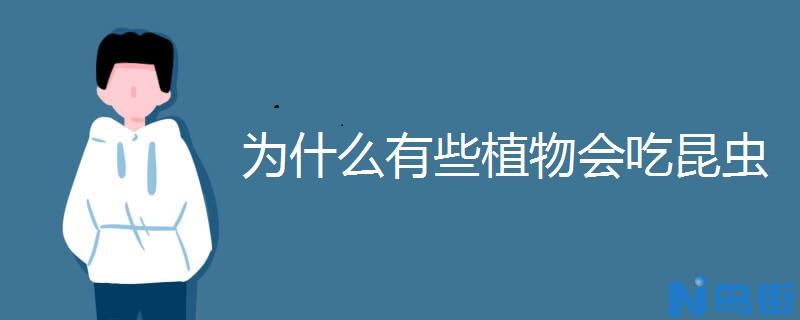 为什么有些植物会吃昆虫 原因是什么