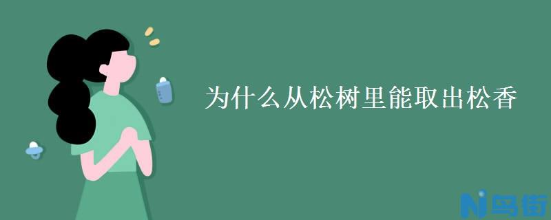 为什么从松树里能取出松香 怎么刮松树上的松香