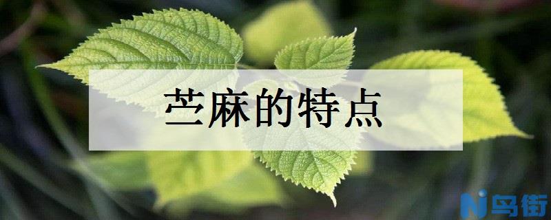 苎麻的特点 生长习性有哪些