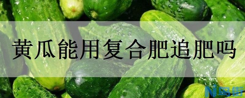 黄瓜能用复合肥追肥吗