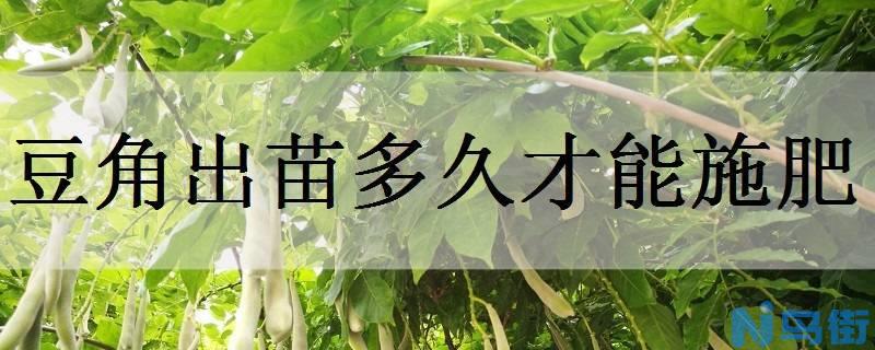 豆角出苗多久才能施肥