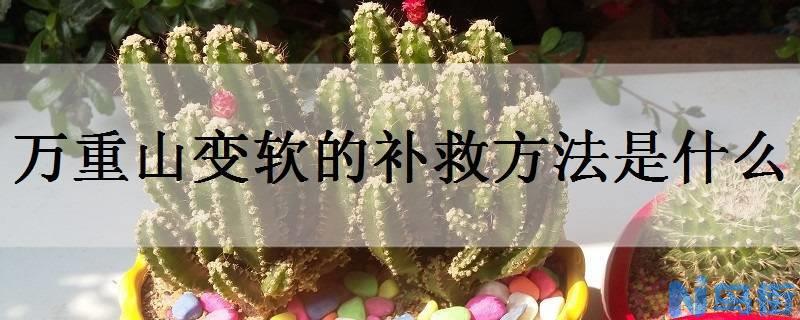 万重山变软的补救方法是什么