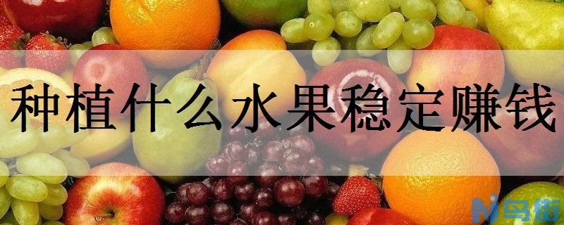 种植什么水果稳定赚钱