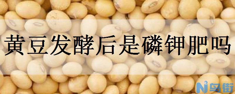 黄豆发酵后是磷钾肥吗