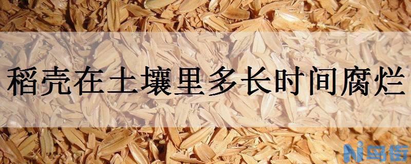 稻壳在土壤里多长时间腐烂