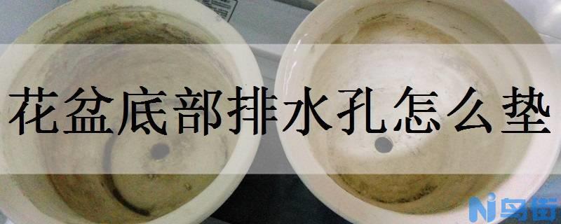 花盆底部排水孔怎么垫