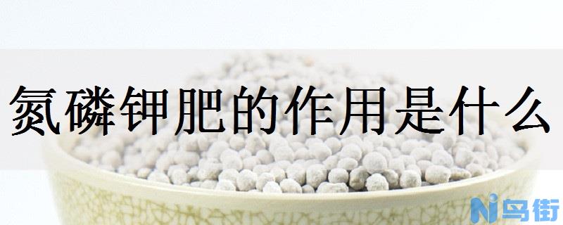 氮磷钾肥的作用是什么