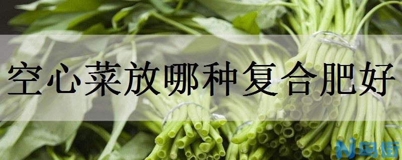 空心菜放哪种复合肥好