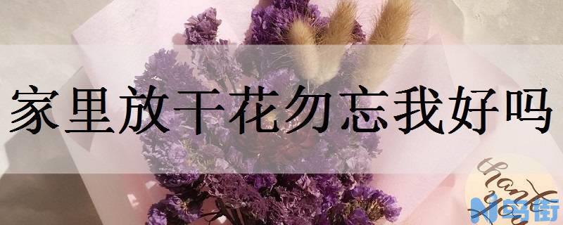 家里放干花勿忘我好吗