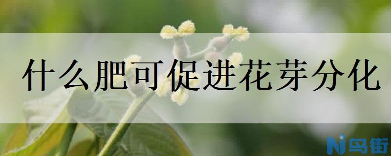 什么肥可促进花芽分化