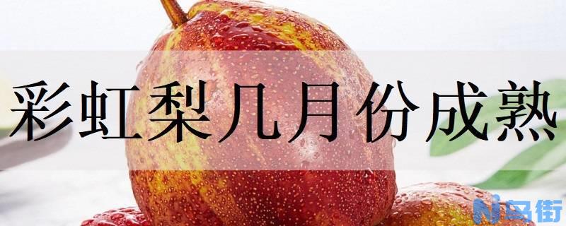 彩虹梨几月份成熟