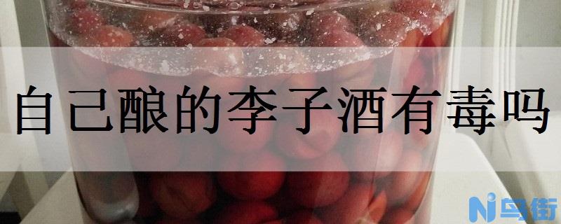 自己酿的李子酒有毒吗