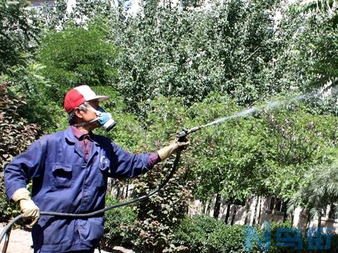 七月份园林植物养护管理及病虫害的防治