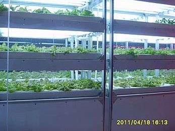 京鹏植物工厂绽放西安世园会引领绿色生活新时代