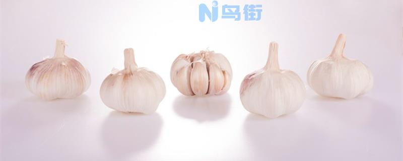 山东大蒜种植时间和播种方法