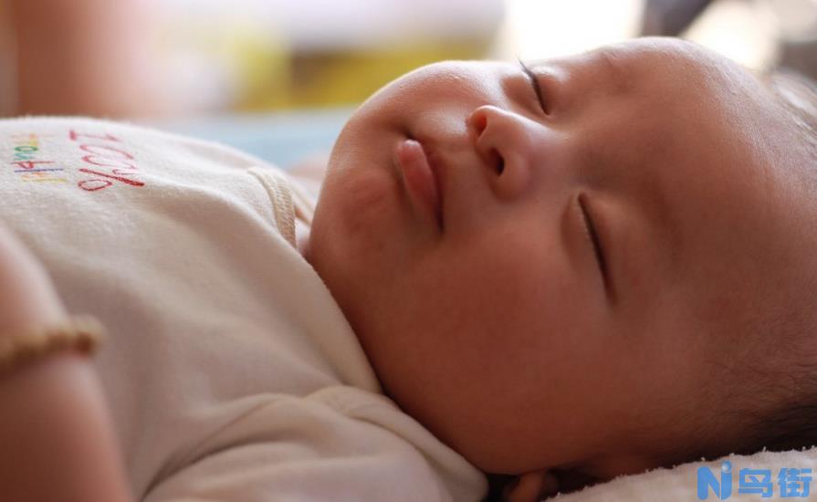 幼犬奶粉怎么挑选 幼犬奶粉食用注意事项