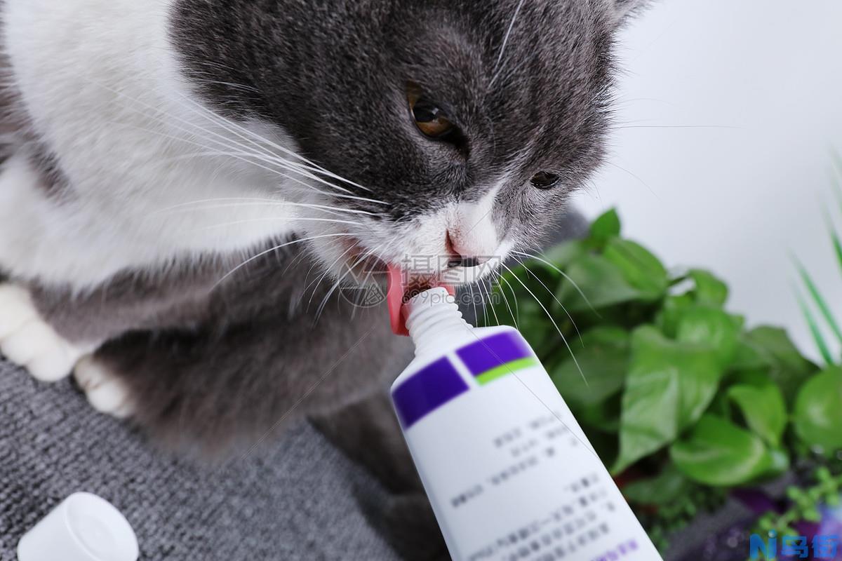 猫咪一定要吃化毛膏吗？