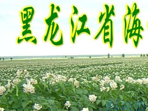 马铃薯用什么繁殖的 种植时怎么播种