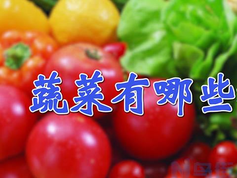 生菜种植及育苗移栽技术 生菜应该注意什么