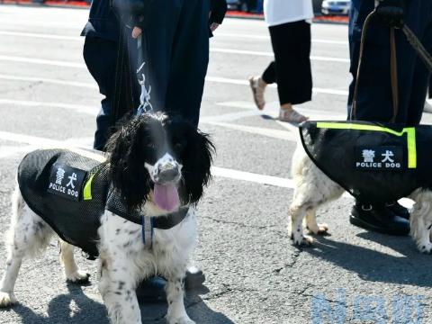 应激对警犬训练的影响