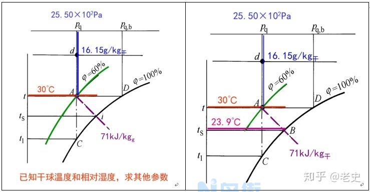 空气湿度对三角梅的影响分析