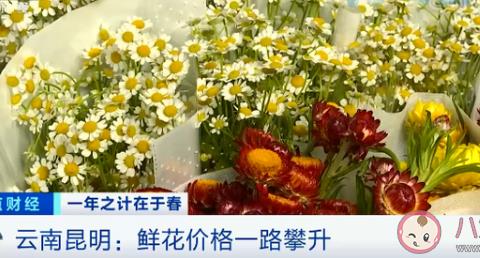 湖北之鲜花涨价近一倍市民抱怨“爱不起”