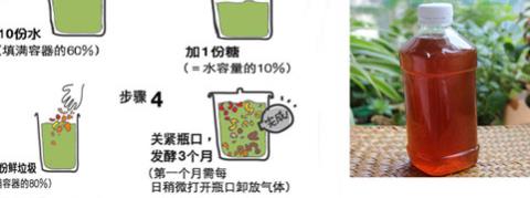 家里常用食材制作和使用杀虫酵素的详细方法教程