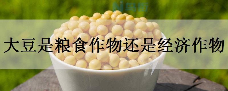 大豆是粮食作物还是经济作物