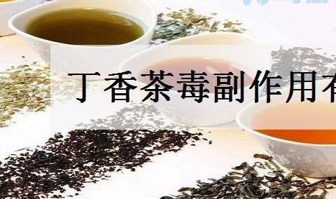 丁香茶毒副作用有哪些