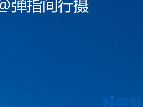 米兰养殖要点有哪些 需要满足什么条件