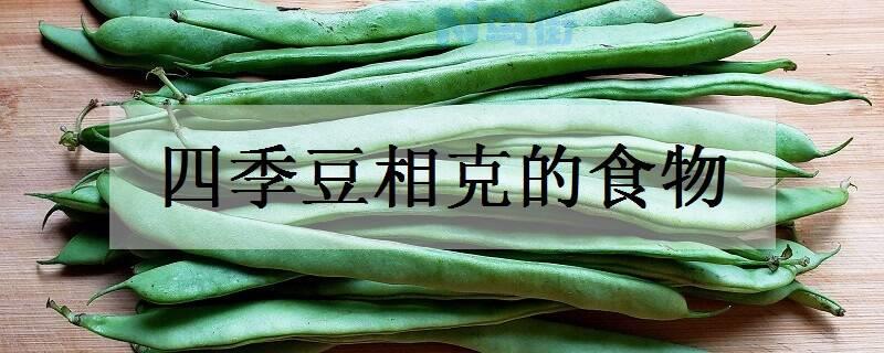 四季豆相克的食物 不能和什么一起吃