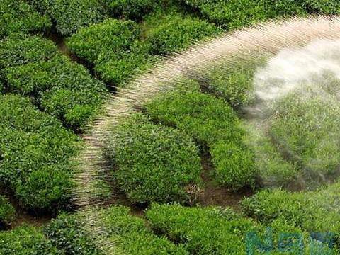 怎样正确使用磷酸二氢钾