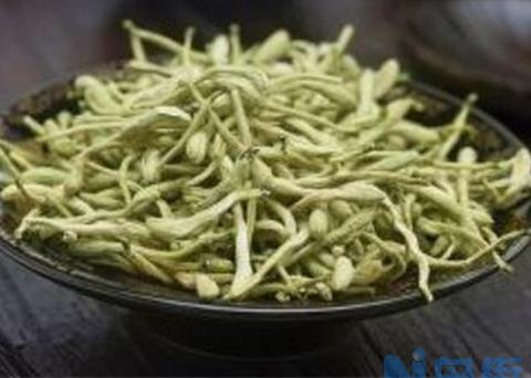 金银花茶怎么做，四个步骤简单完成(好处多多)