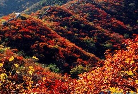 香山红叶最佳观赏时间，秋季10月份最佳观赏期