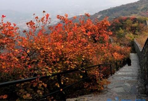 香山红叶最佳观赏时间，秋季10月份最佳观赏期