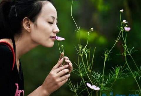 紫色的花有哪些及花名，美女樱紫色壮观暖心花期最长