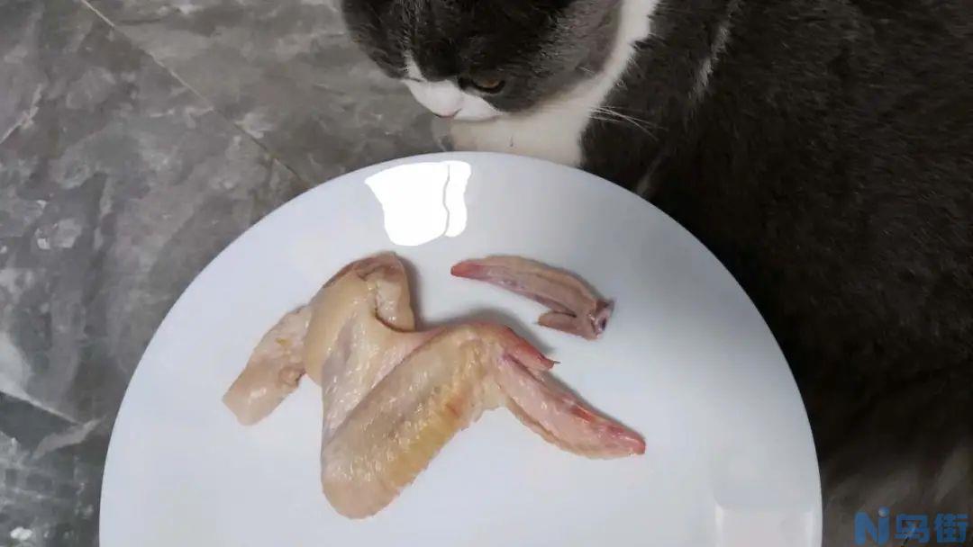 猫能吃骨头吗 猫吃了鸡骨头多久有反应？