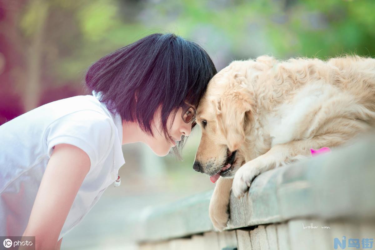 女生适合养的护卫犬 适合独居女生养的省心会保护主人的狗？