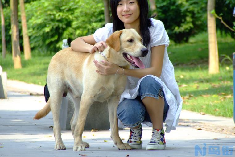 女生适合养的护卫犬 女生独居养什么狗防身？