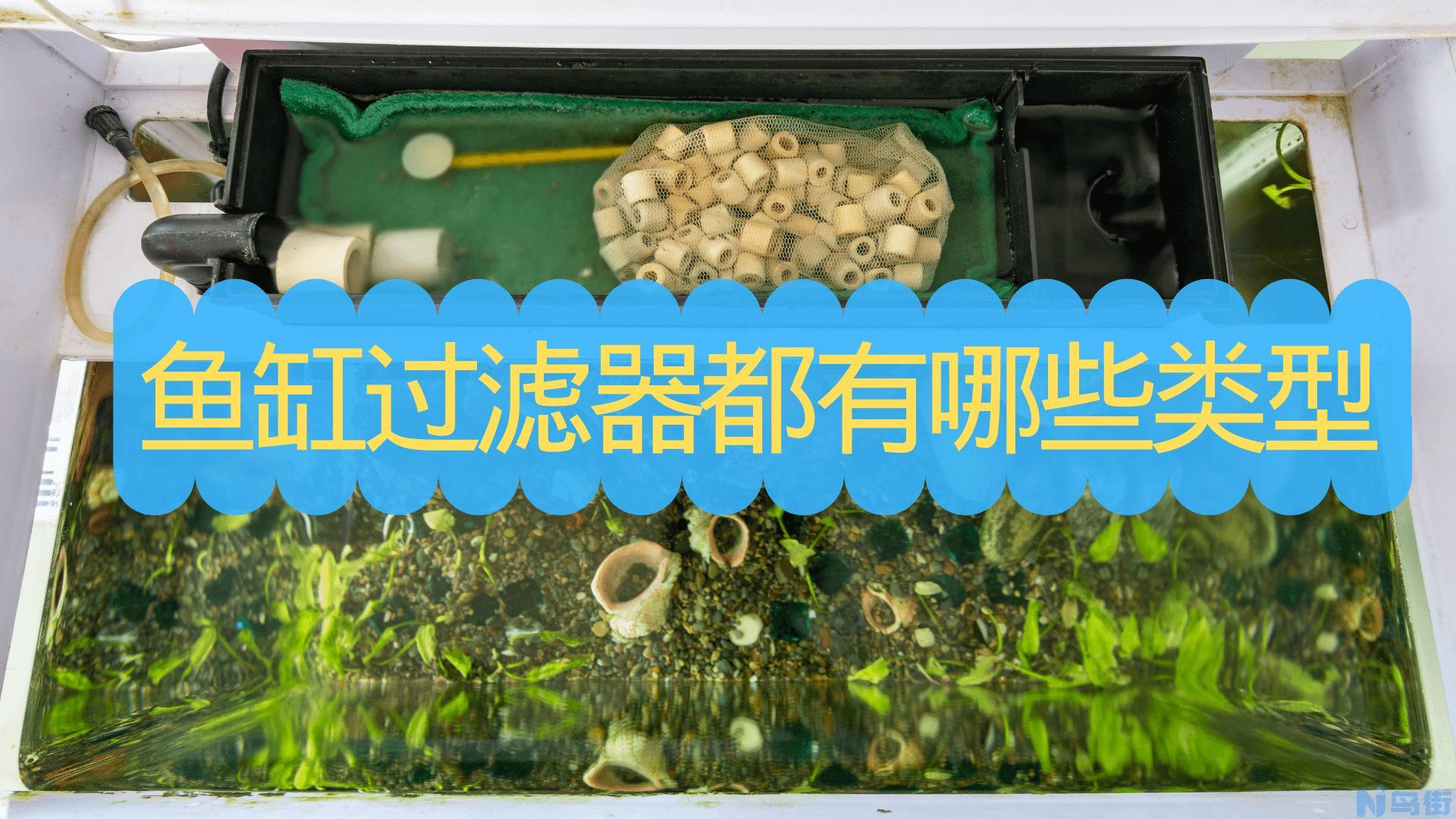 鱼缸过滤器哪种好用 鱼缸哪种过滤材料最好 ？