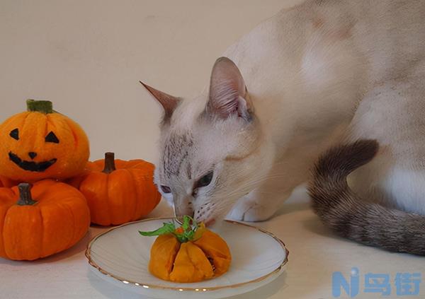 猫吃什么食物除了猫粮 流浪猫喜欢吃什么食物？