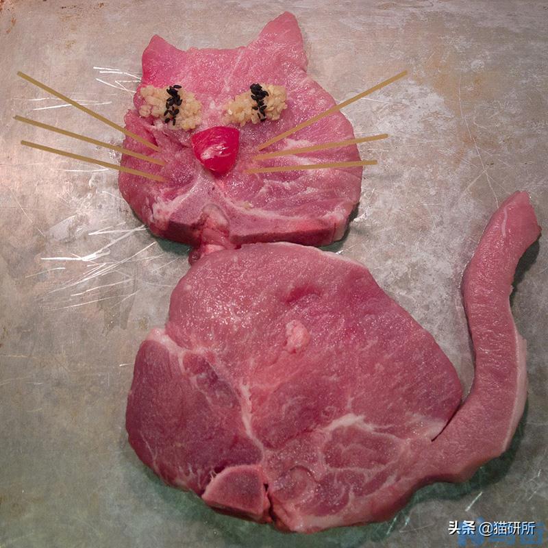 为什么不要给猫吃猪肉 猫可以吃猪肉吗？