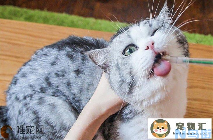 外驱虫药被猫舔了会死么 中毒会有什么反应