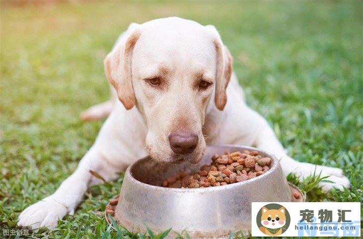 幼犬几天可以排除星期狗 有哪些症状