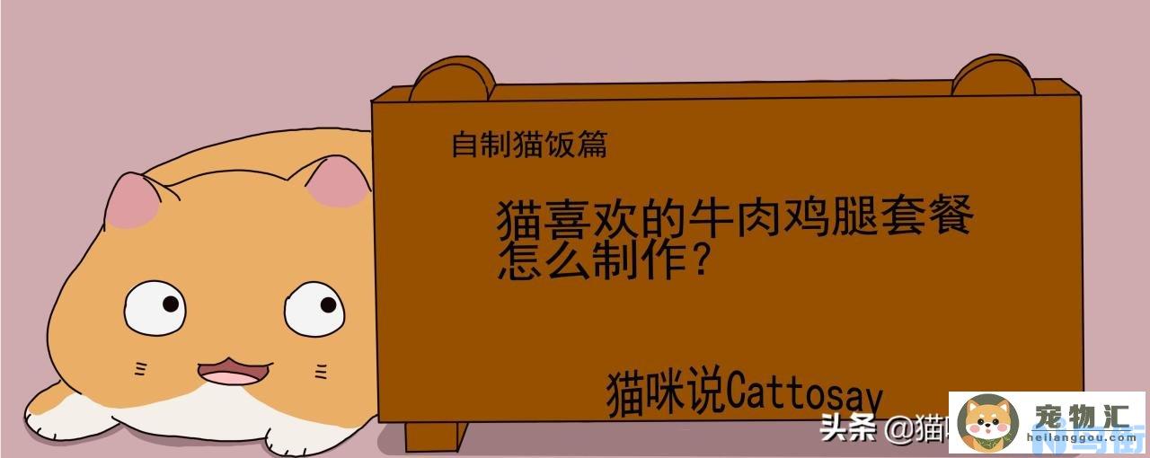 猫猫吃的牛肉怎么做 给猫咪做牛肉的方法？