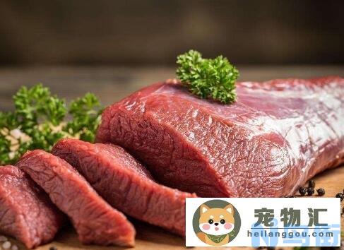 猫喂牛肉的正确方法 自制两款猫咪牛肉美食？