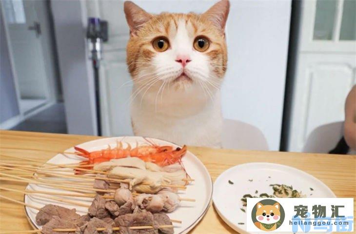 猫咪吃牛肉好还是吃鸡肉好 哪个容易胖