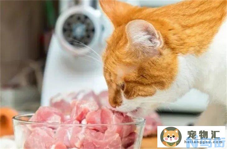 不小心给猫喂了熟的猪肉有事吗 哪些食物是不能吃的