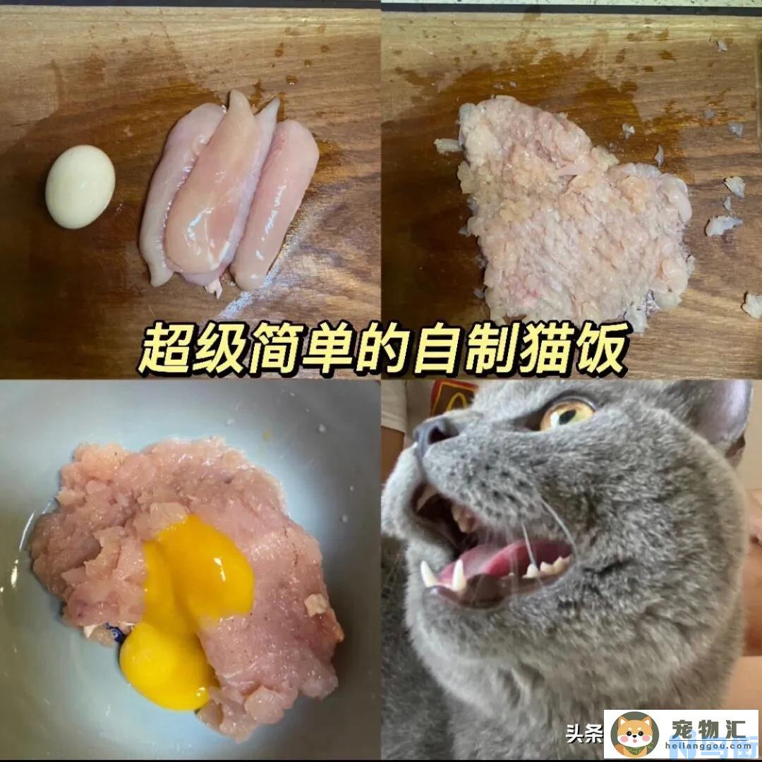 蛋黄怎么做给小猫吃 一定要学会做的自制猫饭？